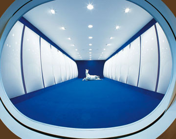 Installation view, Børre Sæthre, My Private Sky , Astrup Fearnley MoMA, Oslo, 2001