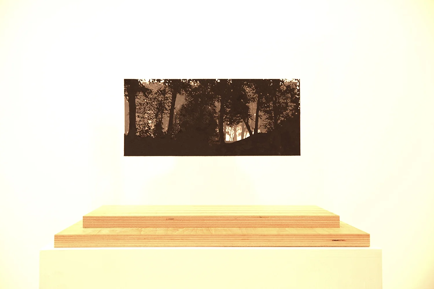 Johan Thurfjell, Diorama (out of the forest), 2013