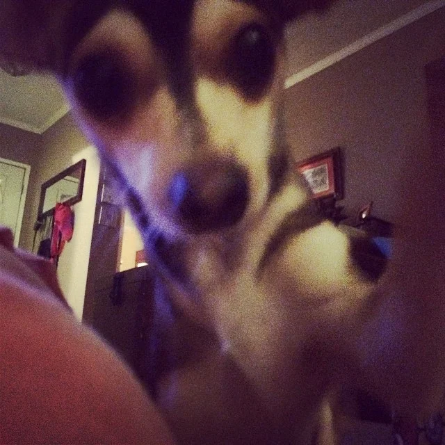 Wanna know what makes “Yoga for relaxation” a little less effective? Charlie. –posted by austindirtydog on Instagram