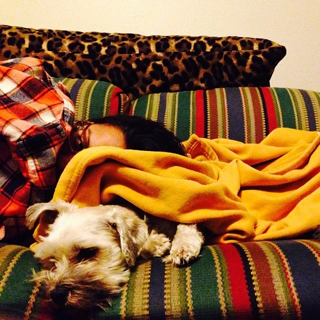 Doing nothing has me tired all of a sudden. My other mom, @as_vega, decided to have a little schnoodle nap with me!–posted by grendel_thedog on Instagram