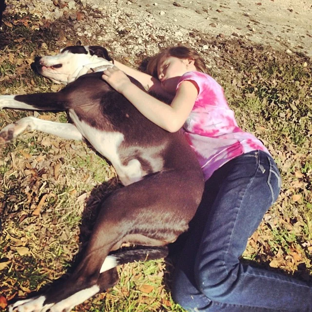 Ziba’s new friend #thenakeddog #austin #hiking #boarding #training #atx #dogsofaustin #dogsofinstagram #pitbull–posted by thenakeddog on Instagram