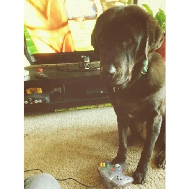 Liam doesn’t know to face the TV while playing video games. #yourdoingitwrong –posted by pmarie41 on Instagram