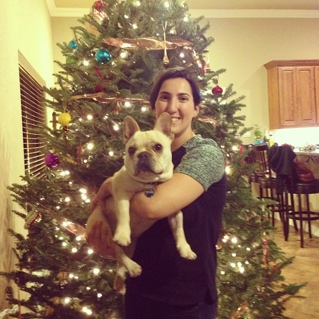 Austin Frenchie Holiday Party! #buhi #bulldogs #dogslife #austin #austinbulldogs #ilovemydog #instafrenchie–posted by handsomethepup on Instagram