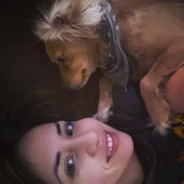 This is what I wake up to every morning. … a scruffy little pup #bestpup –posted by megmucklebones1 on Instagram