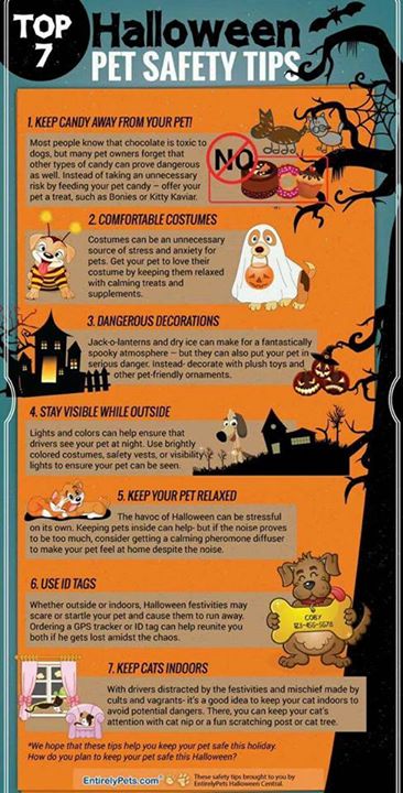 October 31, 2016 at 07:26AM