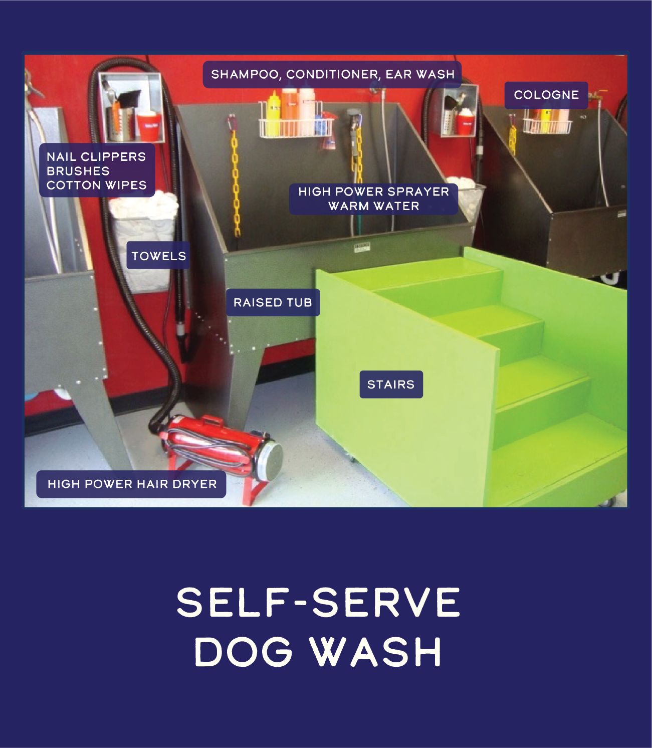 self clean dog wash near me