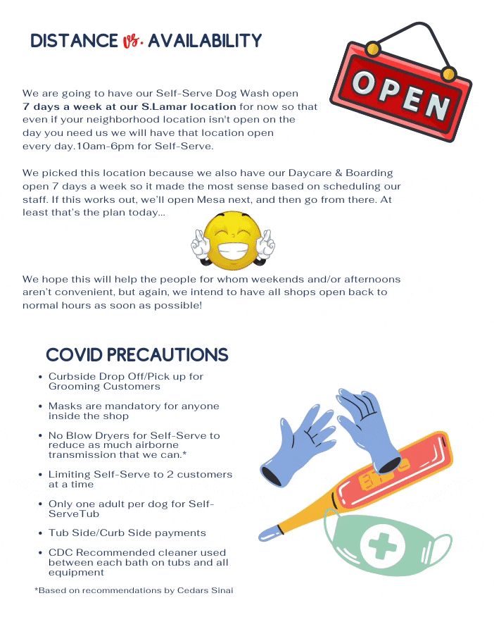 Watering Hole Dirty Dog Grooming Self Serve Dog Wash Playcare Boarding