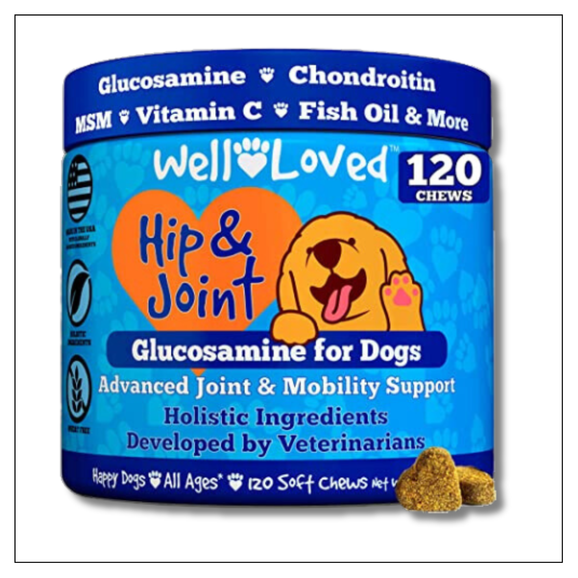 Well Loved Glucosamine for Dogs