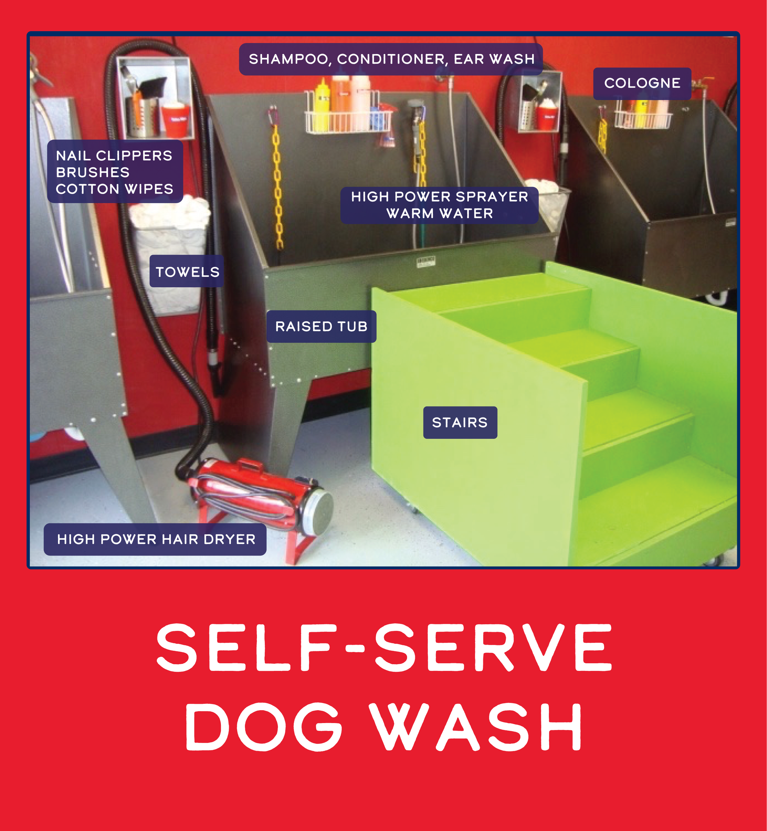 Self Serve Dogwash