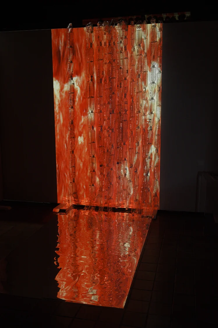 8.Nowinski_Swallowed_riverfall red.jpg
