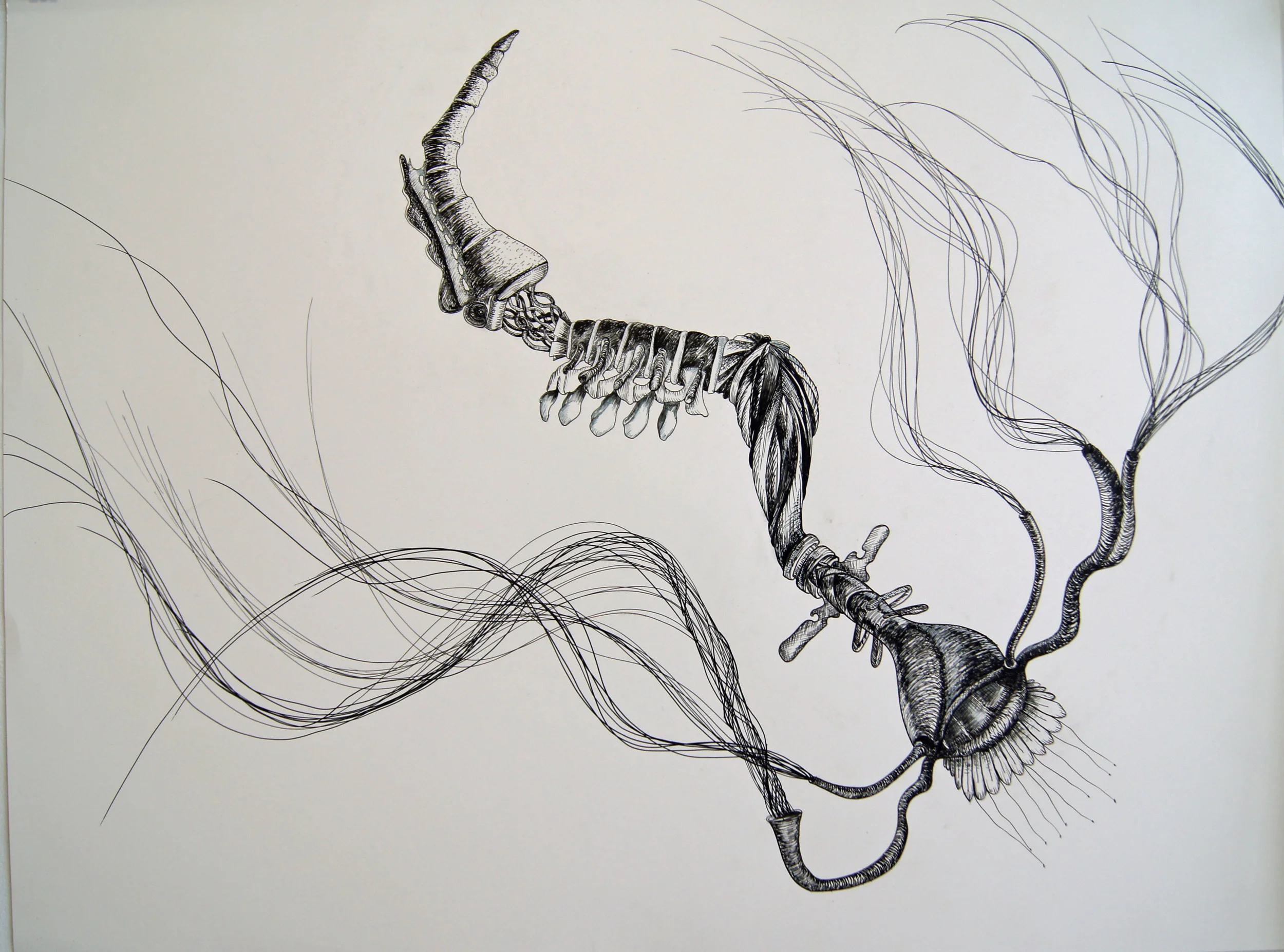 antipyretic creature1 1.5.jpg
