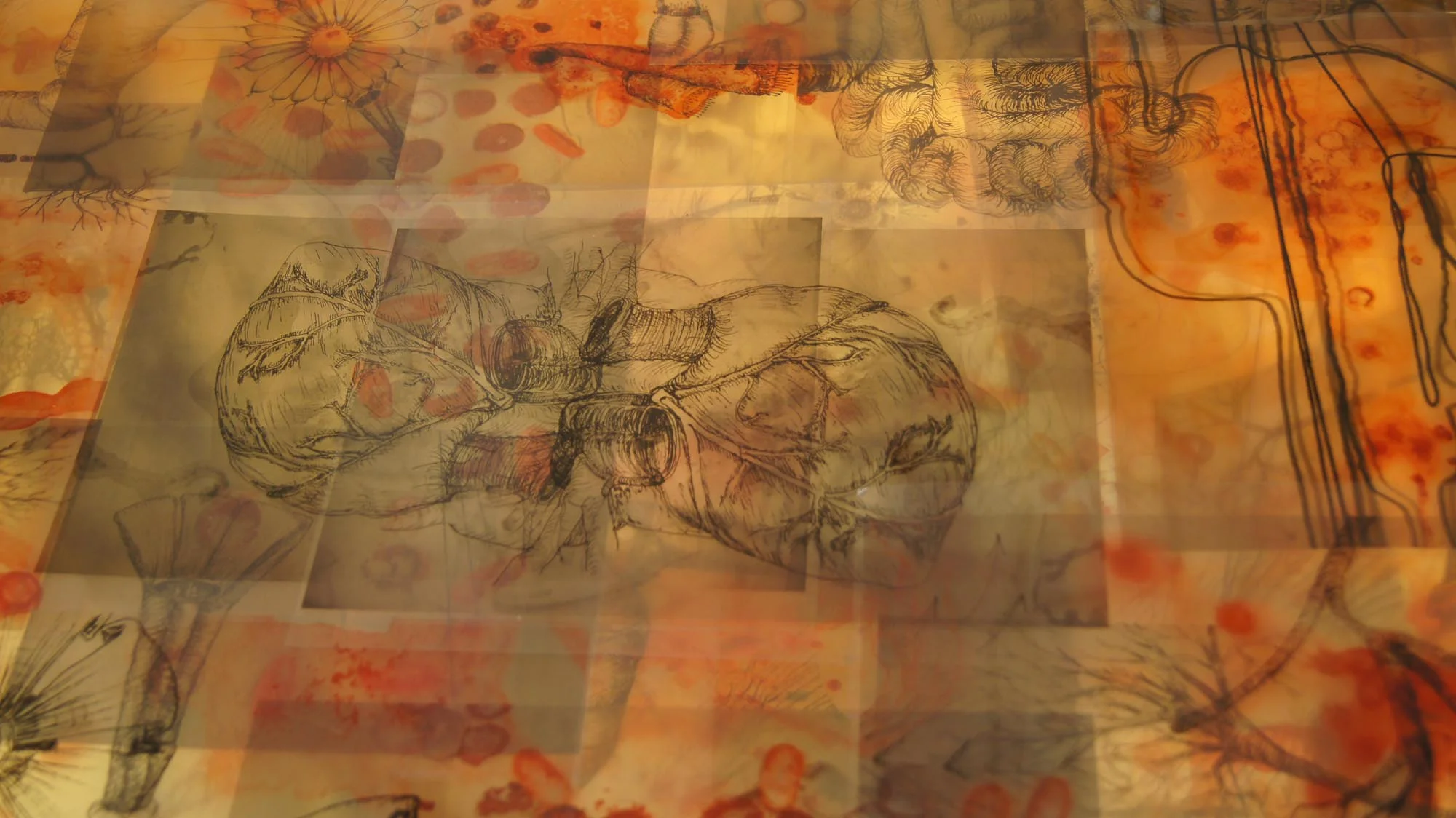 detail organscape.jpg