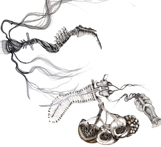 _frame1.gif