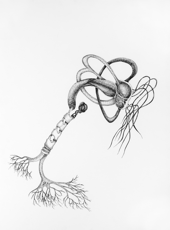 Abductions Series III_Genie and Logical .jpg