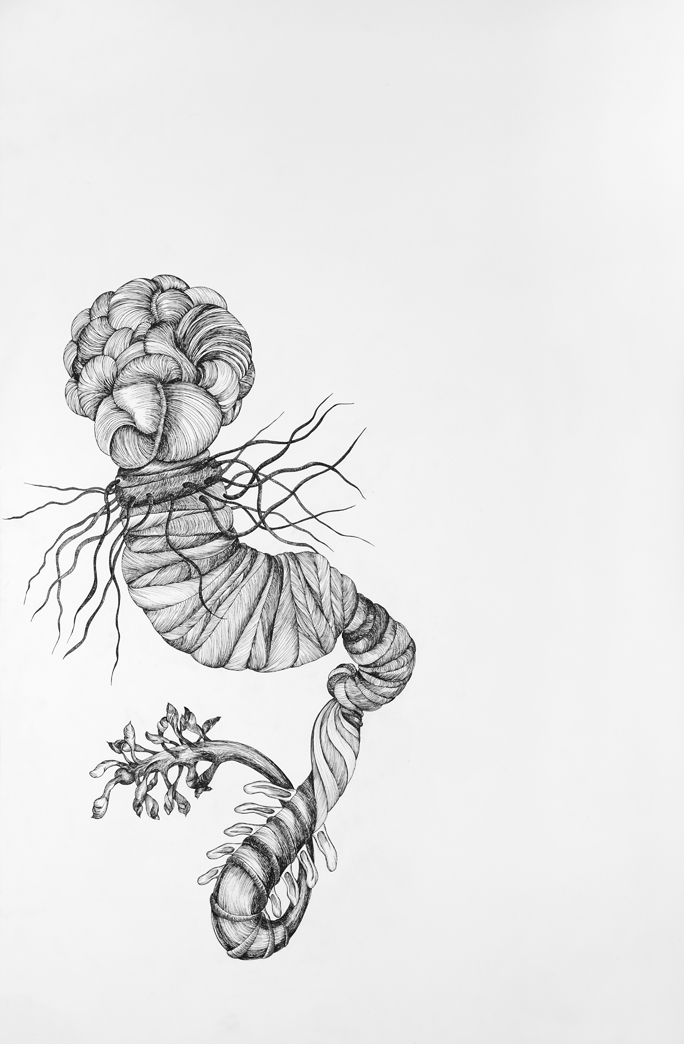 Abductions+Series+IV_Untitled+Muscle+Head_22x30in.jpg