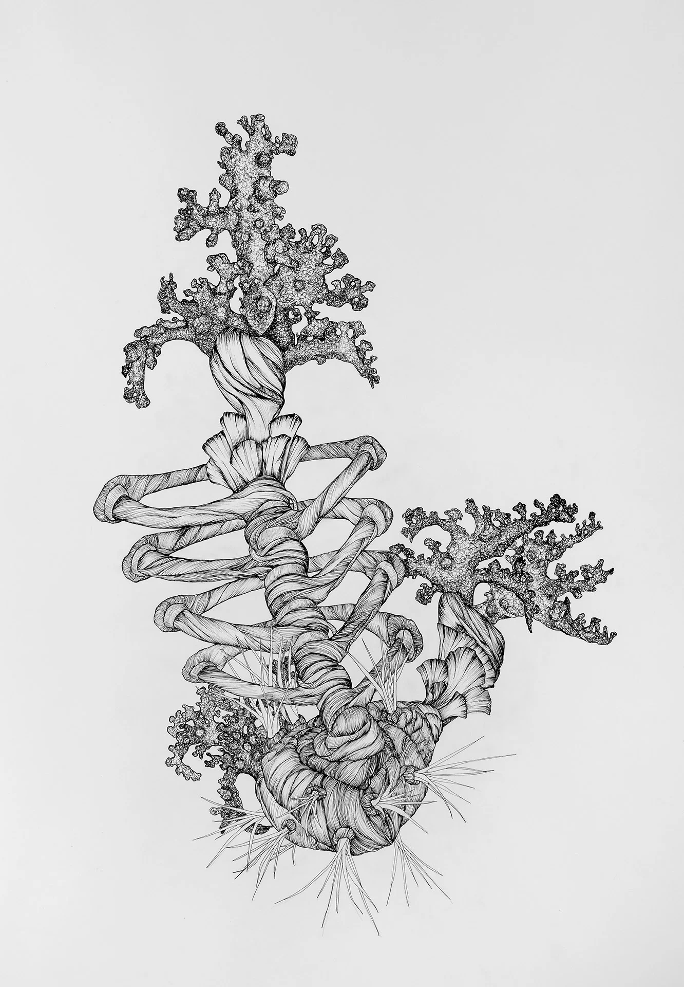5_Untitled Adaptation (Anthroposcenic Grip).jpg