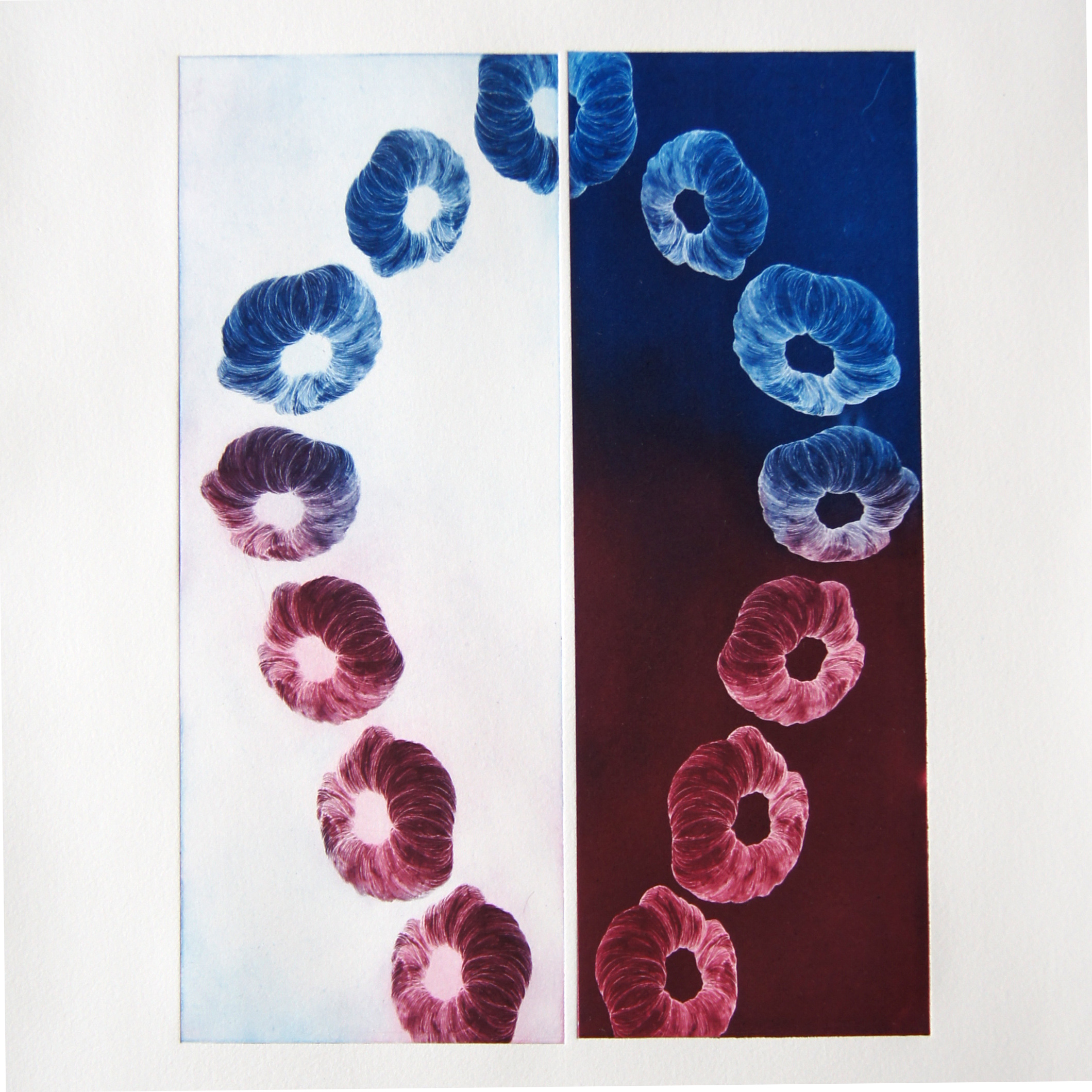 2_Nowinski_Anthropocenic Abjection_wHole_Binary_Loop.jpg