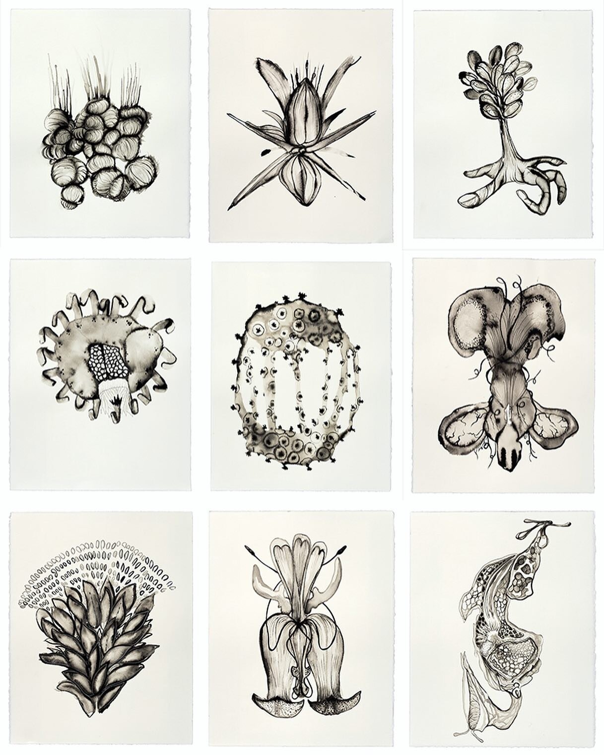 Saaaawipe! An earlier selection from March/April from my daily drawing project. Mostly just glad to be present with these, resisting through them and looking forward to seeing all 365 installed Sept 2021. 
.
.
.
.
#dailydrawing #contemporarydrawing #