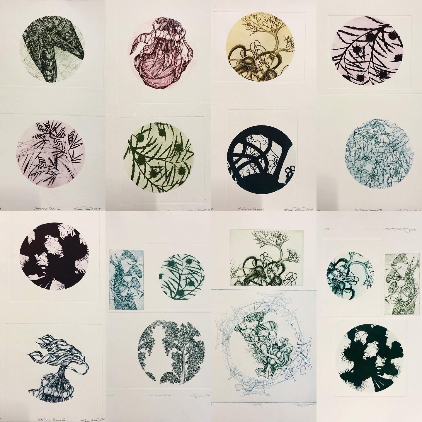 &iexcl;Peep! ....selection of current small prints from A Closer Look series 👁🔍🔬 .
.
.
#printmaking #plantblindness #somaflora #photopolymer #intaglio #drawing #pairings #specimen #anthropoceneart #herbariuminspired #smallworks #contemporaryprintm
