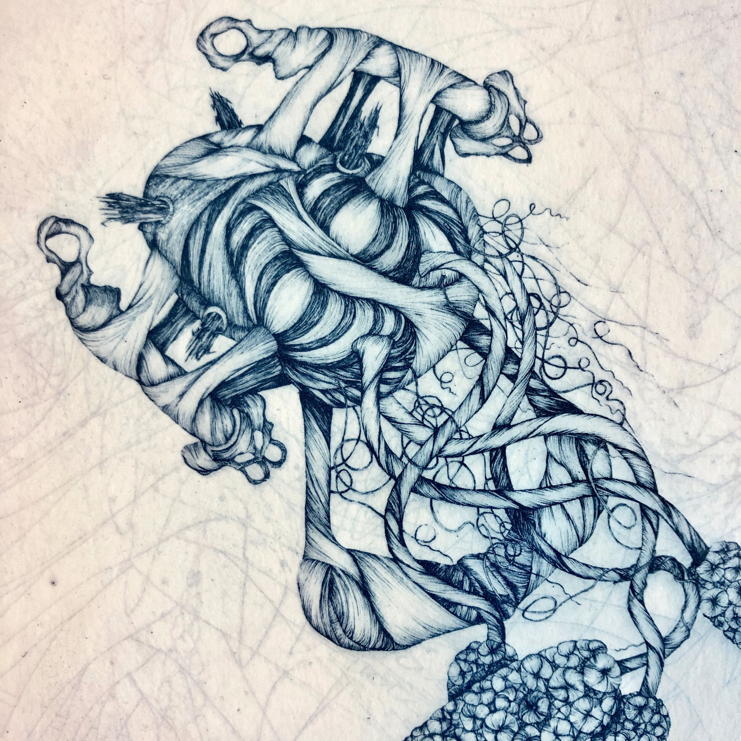 "Drupeleted Swimmer", photopolymer intaglio 