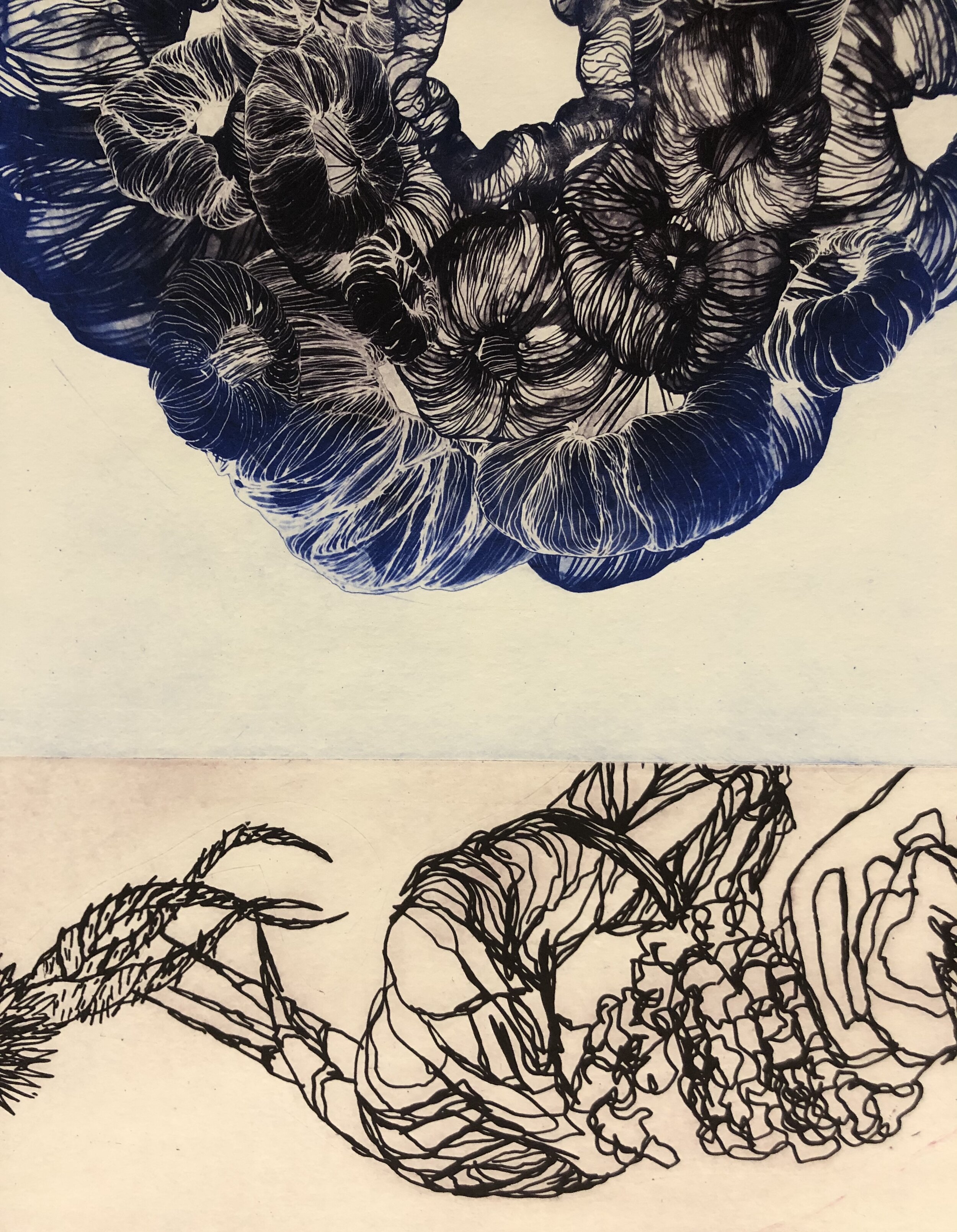 "wHole Nest in Blue" photopolymer intaglio