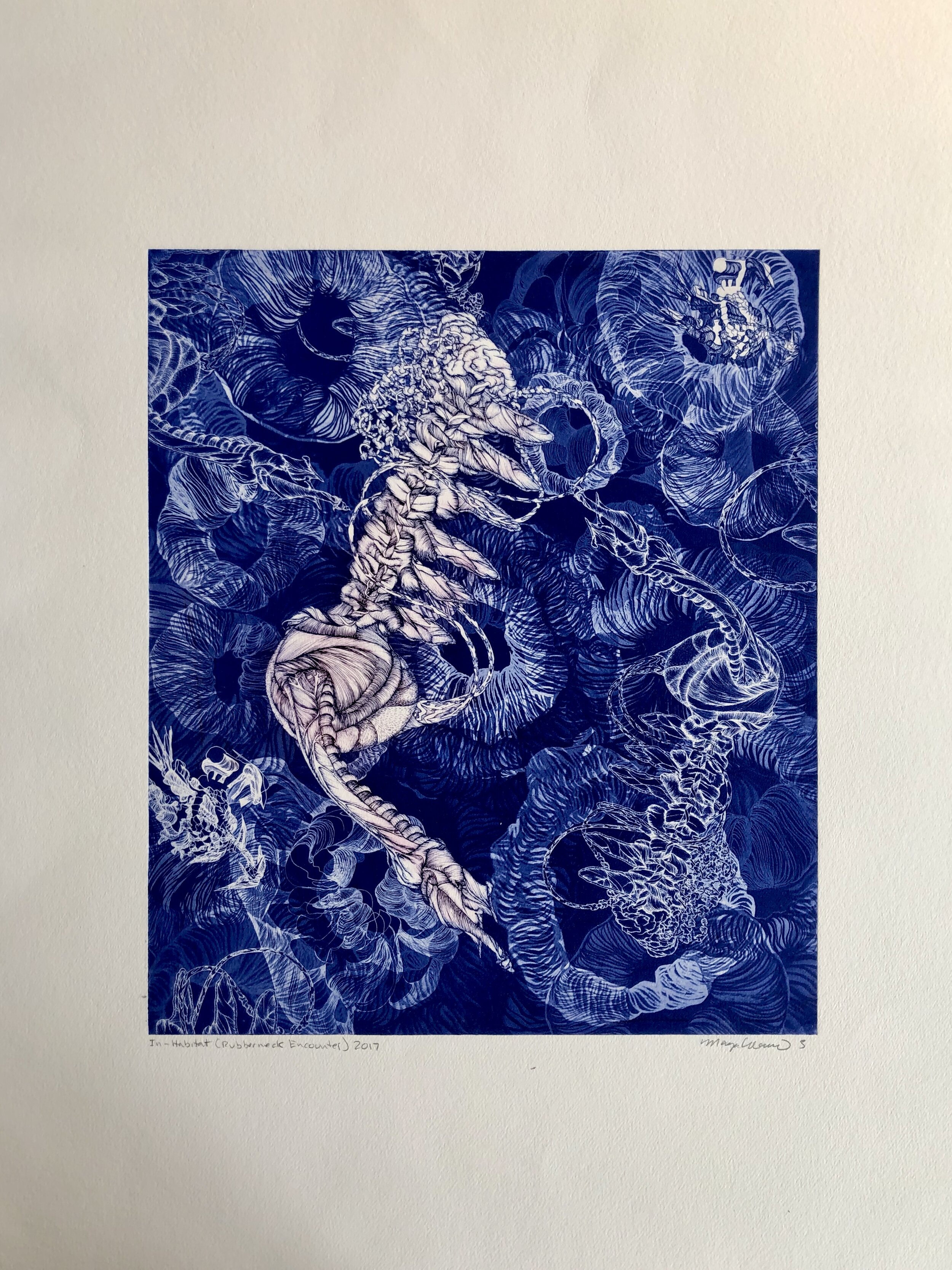 "In-Habitat (the Rubberneck Encounter)" Photopolymer Intaglio 