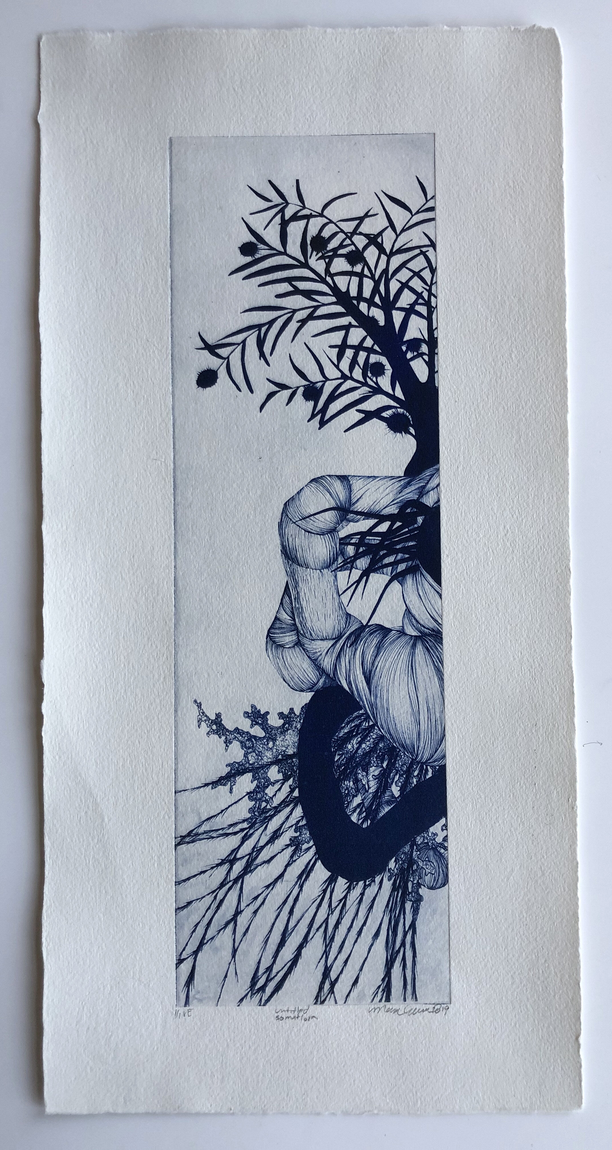 entire in crescita long.jpg