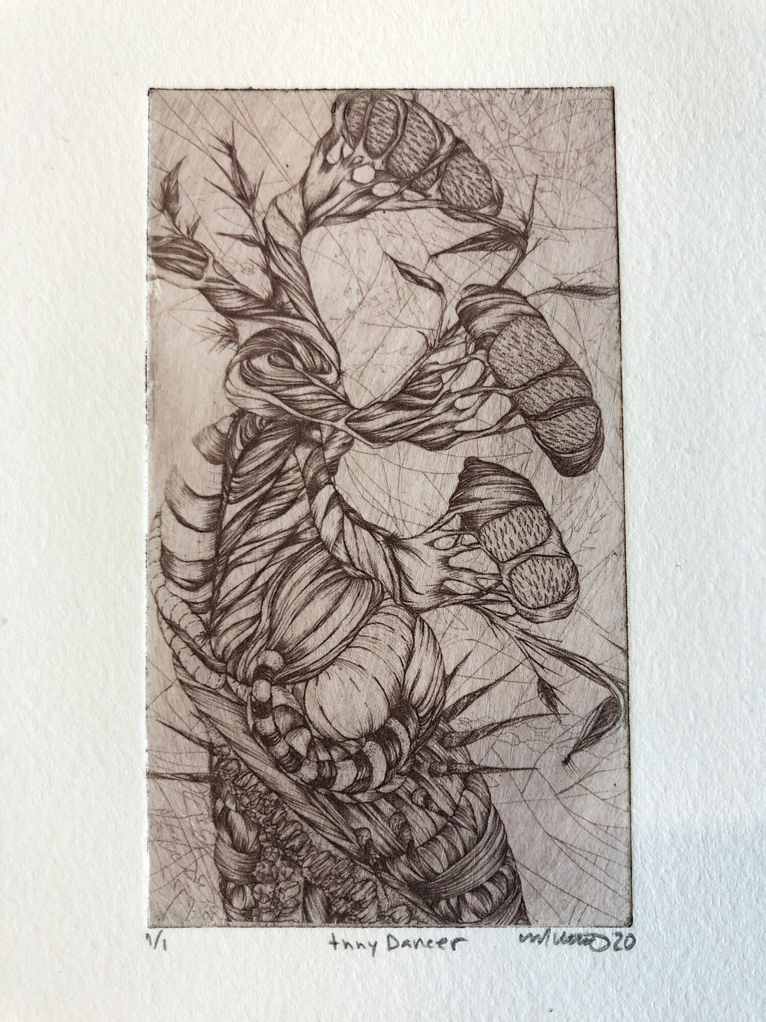 "Not so Tiny Dancer" 