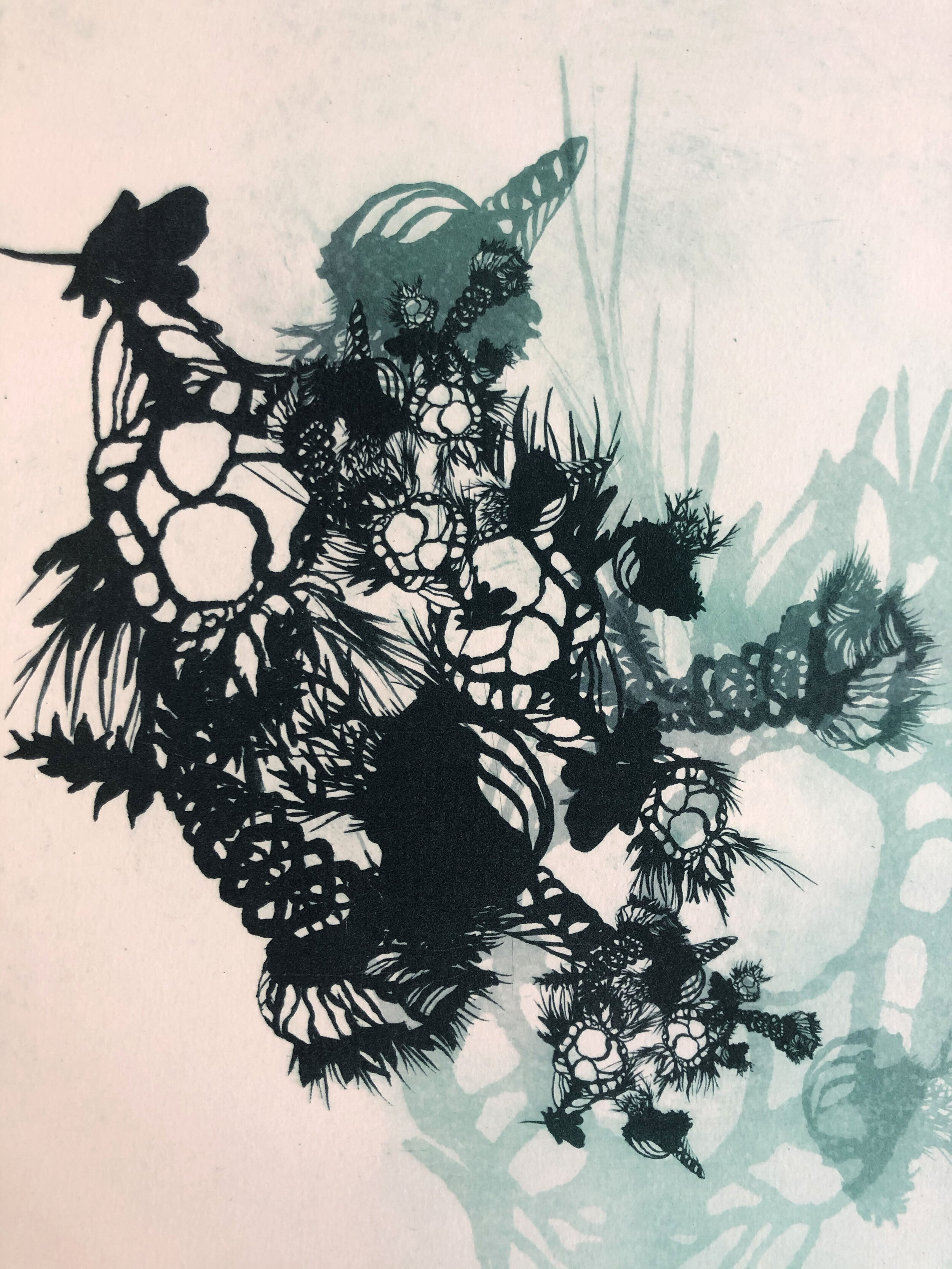 "Cryptobiotic Silhouette" photopolymer intaglio