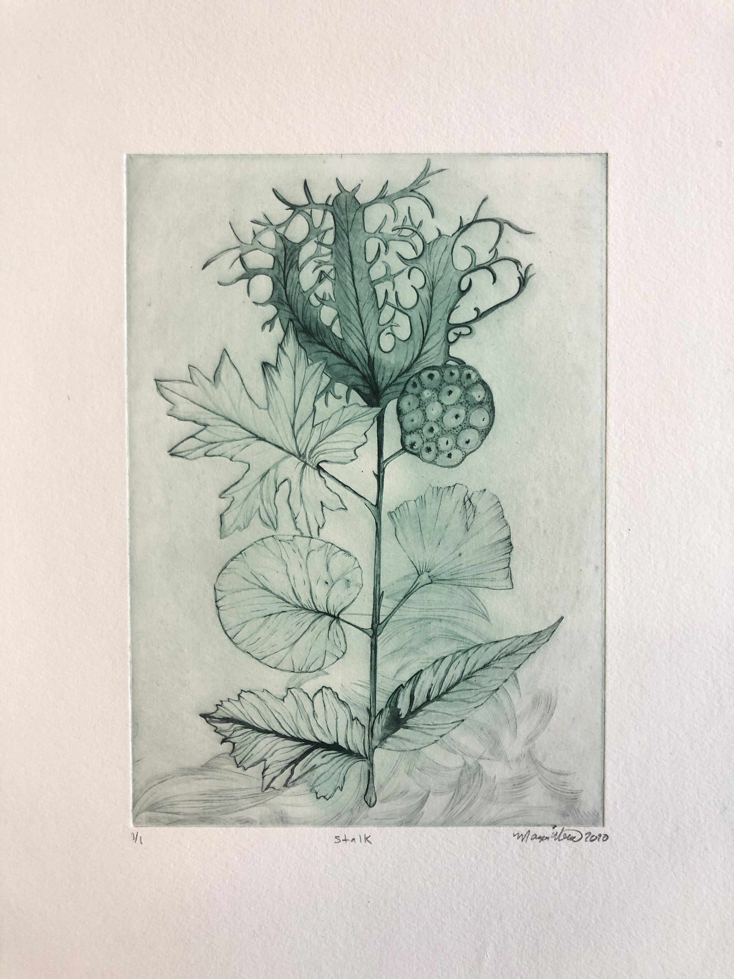 "Stalk" photopolymer intaglio