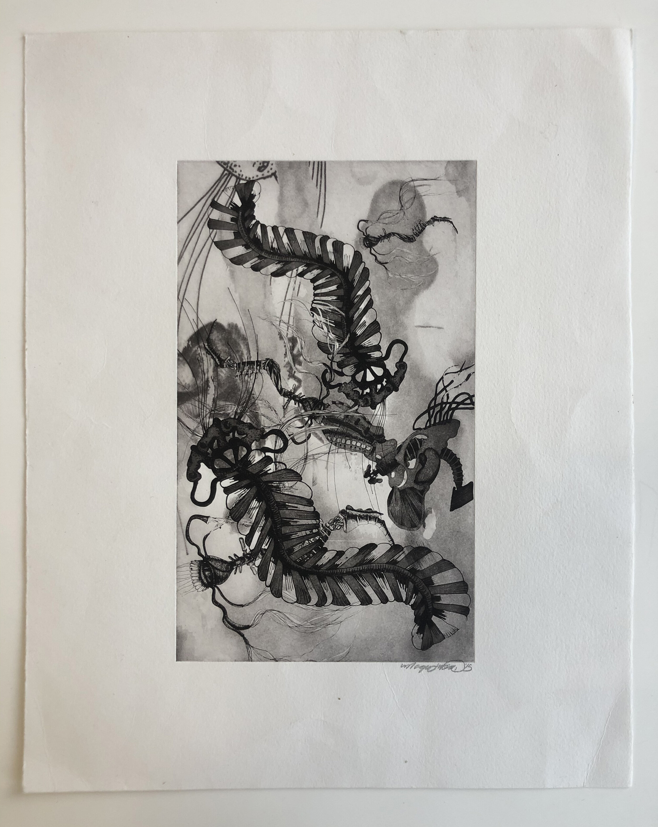 "Untitled: Fluid Habitat" photopolymer intaglio