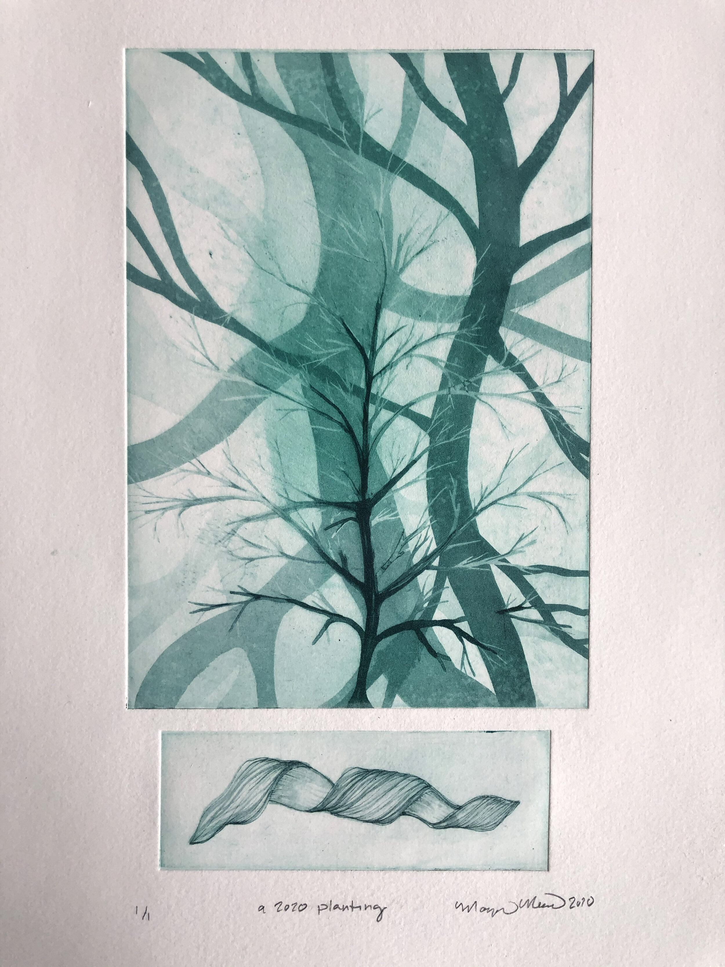 "a 2020 Planting" photopolymer intaglio diptych