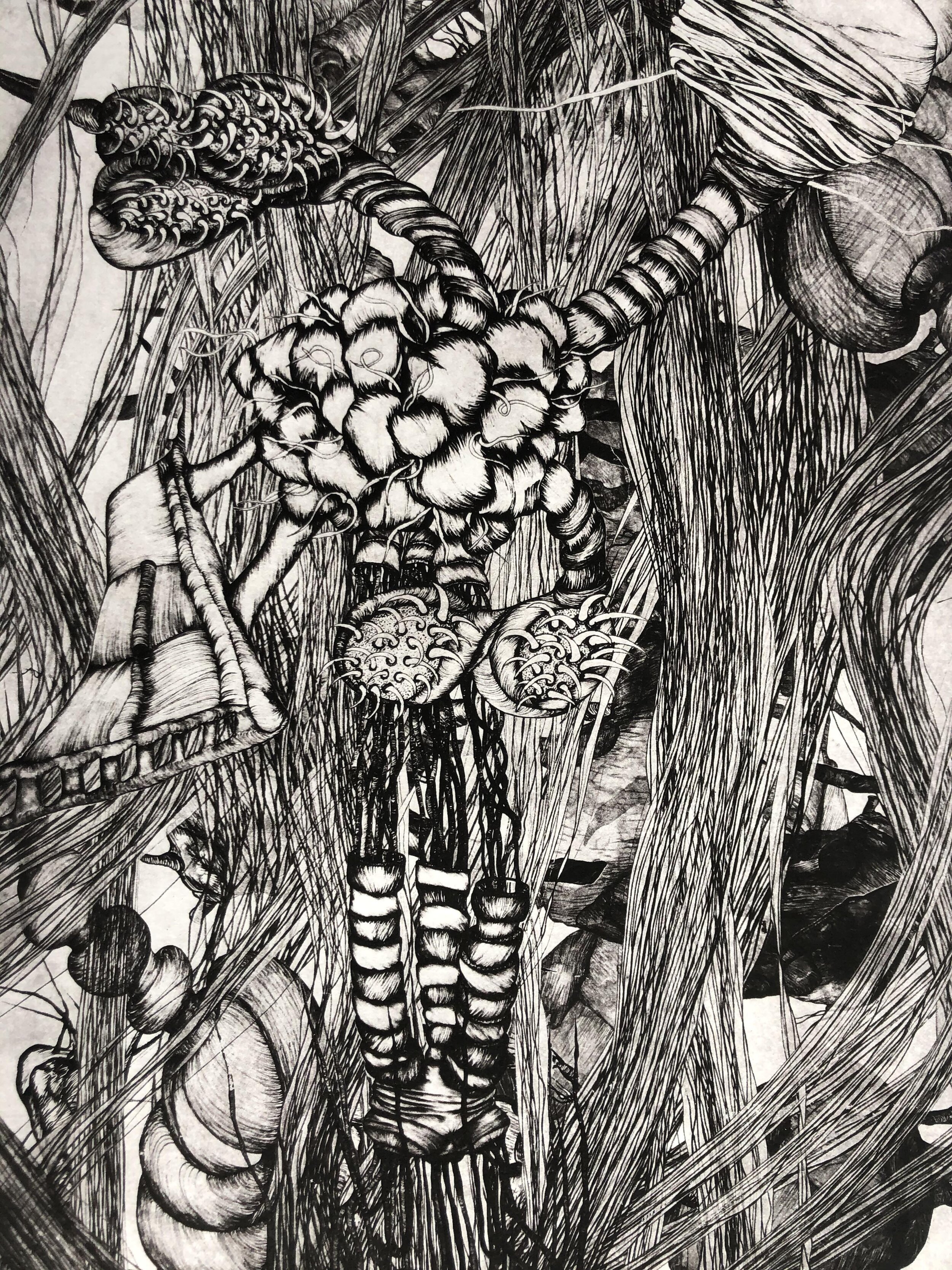 "In Habitat/Quattro Arti" photopolymer intaglio