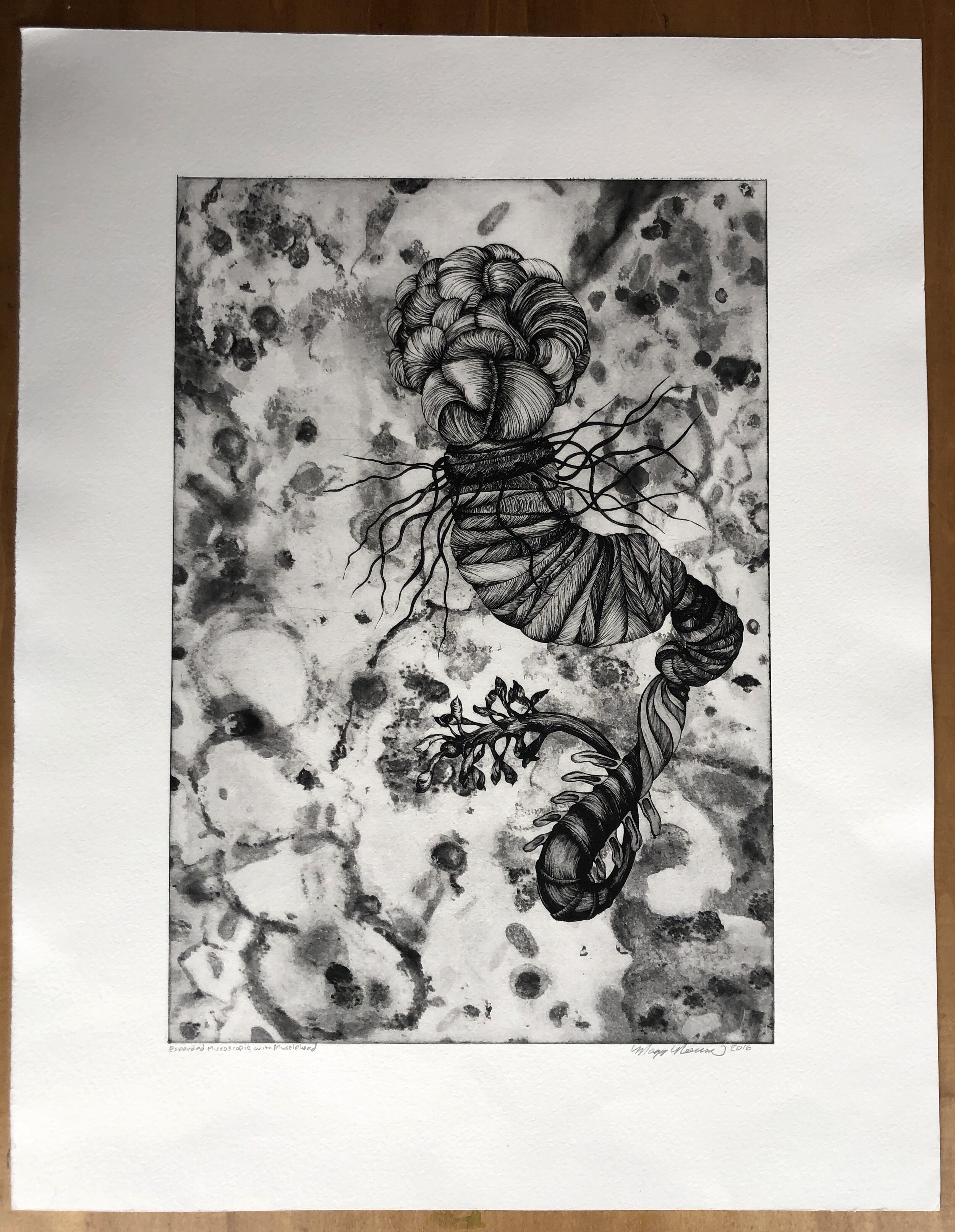 "In-Habitat (Muscle-head)" photopolymer intaglio