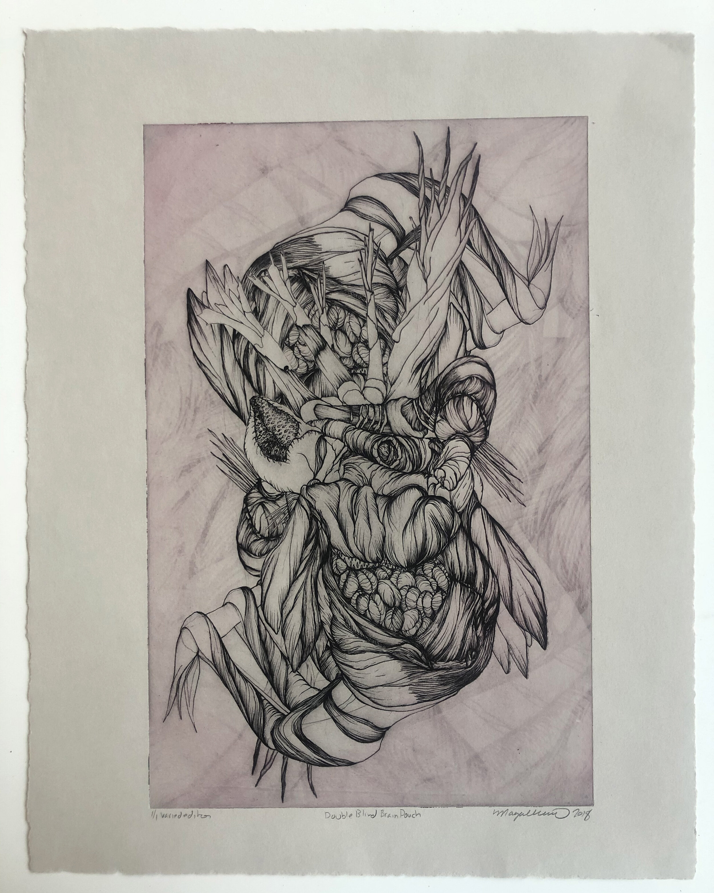 "Double Blind Bind" photopolymer print on toned paper