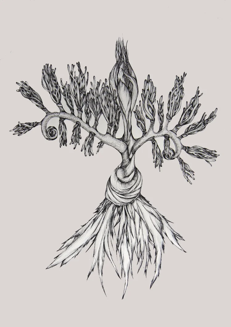 Feathertail_Fiddlehead.jpg