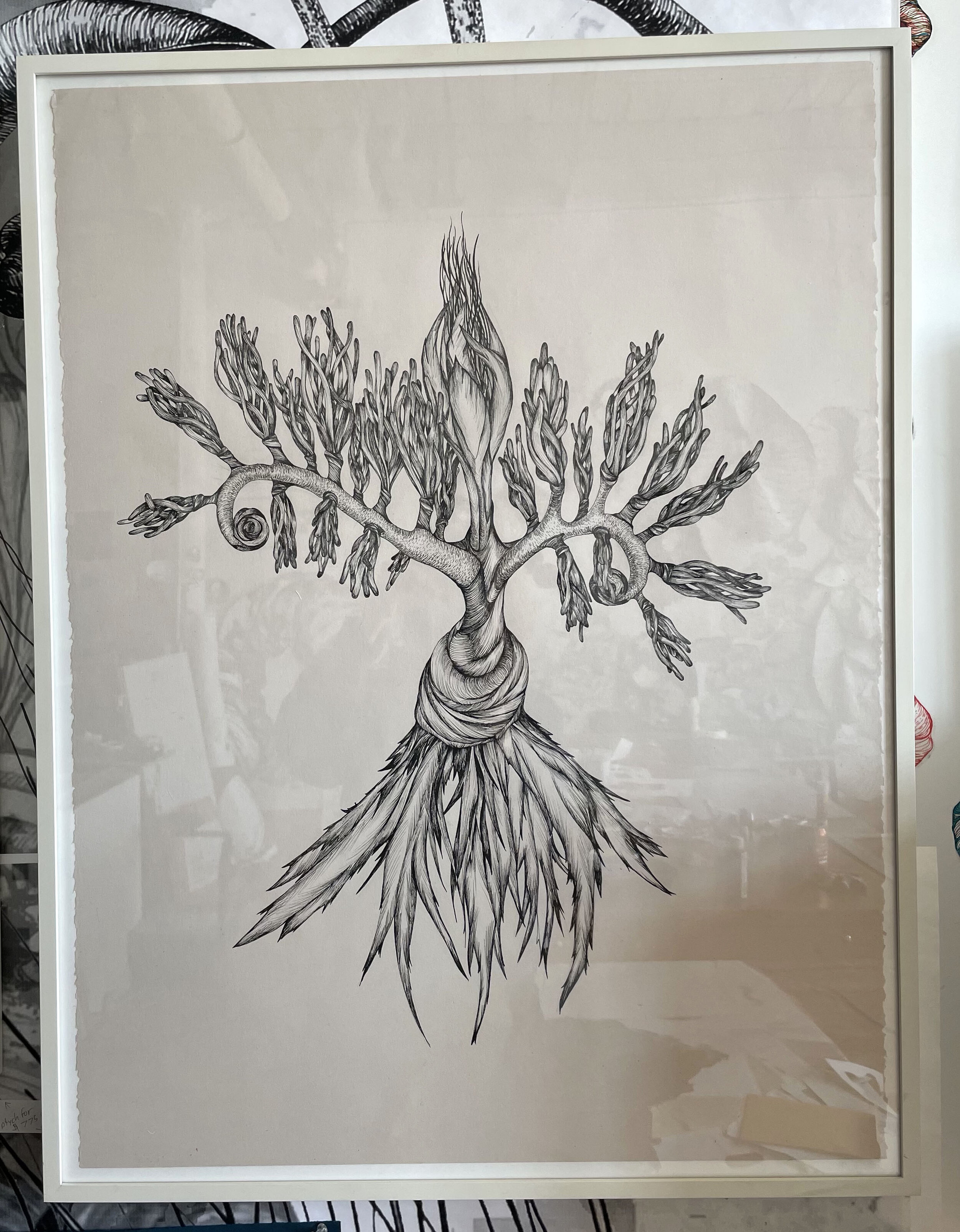 fiddlehead framed.jpg