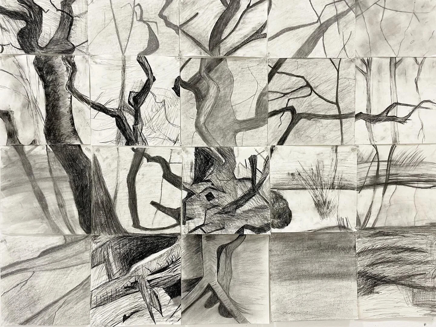 @mcc_ct / drawing 1 / tiny class / pretty pictures #tgif 
.
#drawingclass #artclass #treesdrawing #skulldrawing #charcoaldrawing #worksonpaper