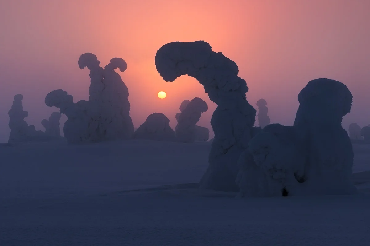 Bowing to the Sun, Finland 80x50 cm, Edition of 15 100x70 cm, Edition of 20 120x80 cm, Edition of 15