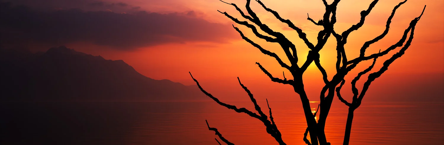 Hiding Sun, Switzerland 120x40 cm, Edition of 10 150x50 cm, Edition of 15 180x60 cm, Edition of 15 210x70 cm, Edition of 10