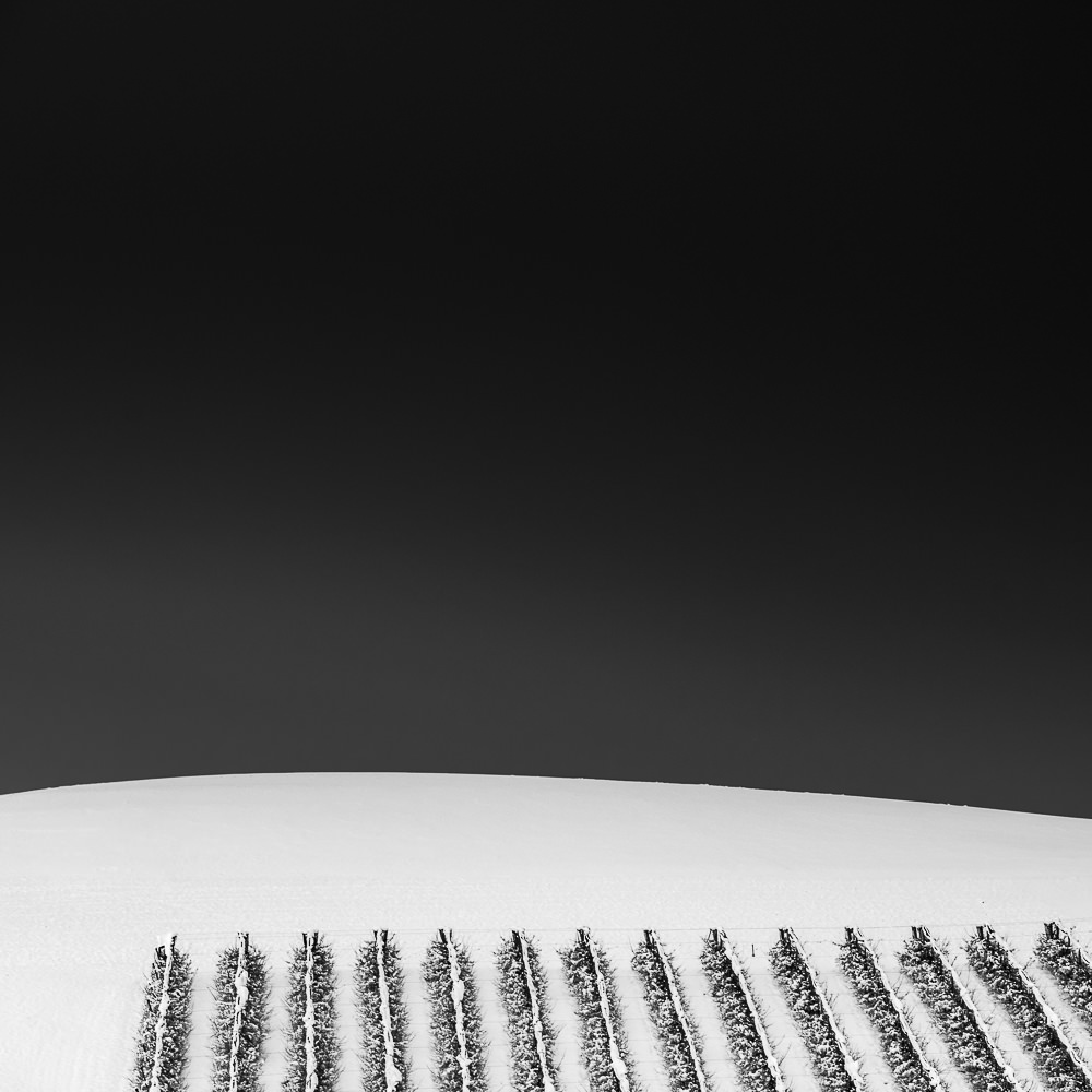 Rows on white, Switzerland 40x40 cm, Edition of 6 60x60 cm, Edition of 7 80x80 cm, Edition of 7 120x120 cm, Edition of 5