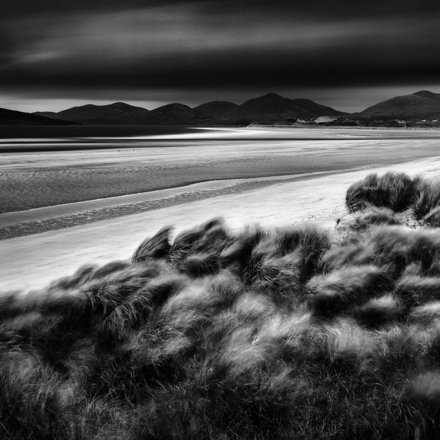 Harris_004_c_B&N.jpg