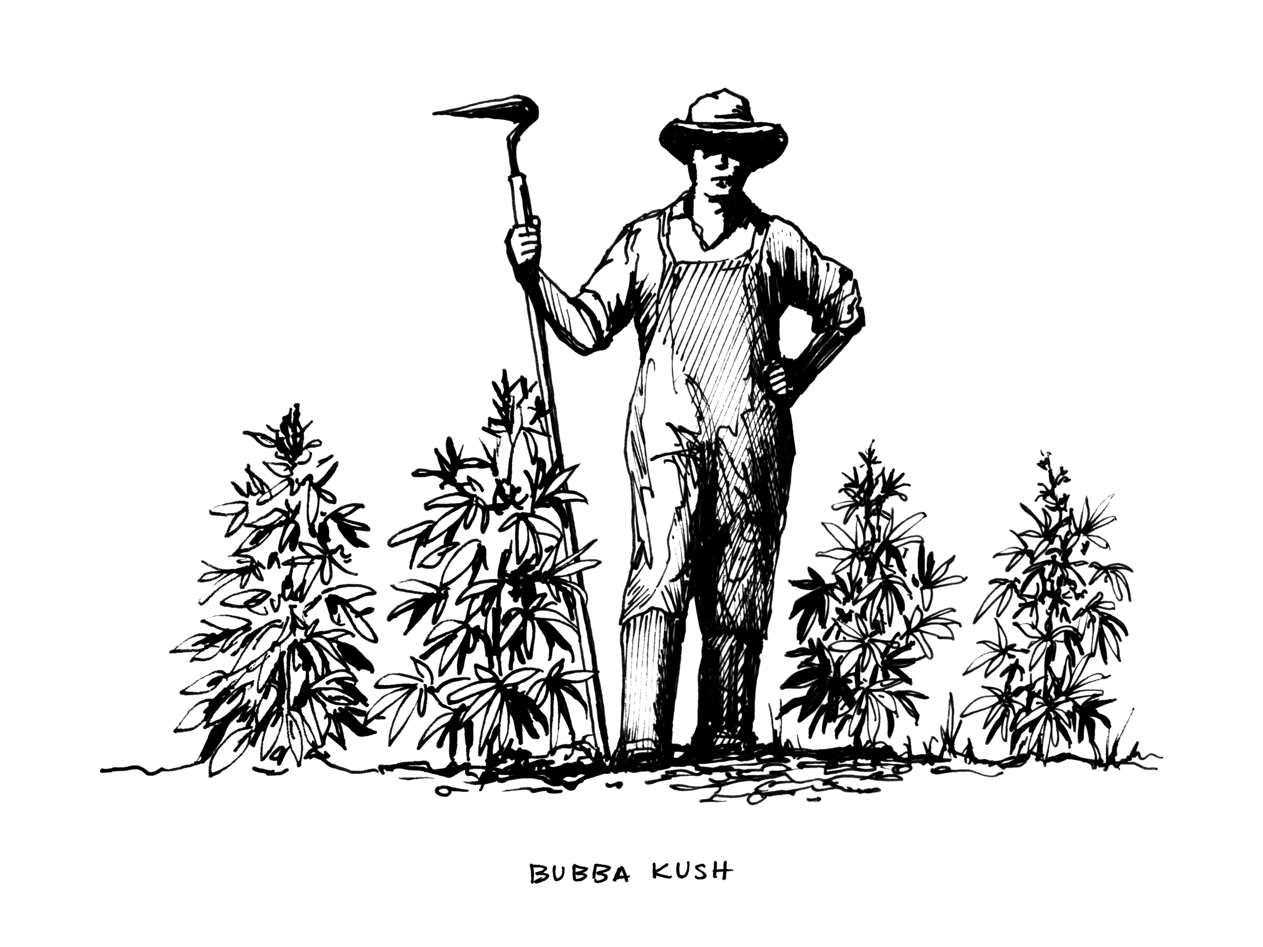 BubbaKush_StrainArt.png