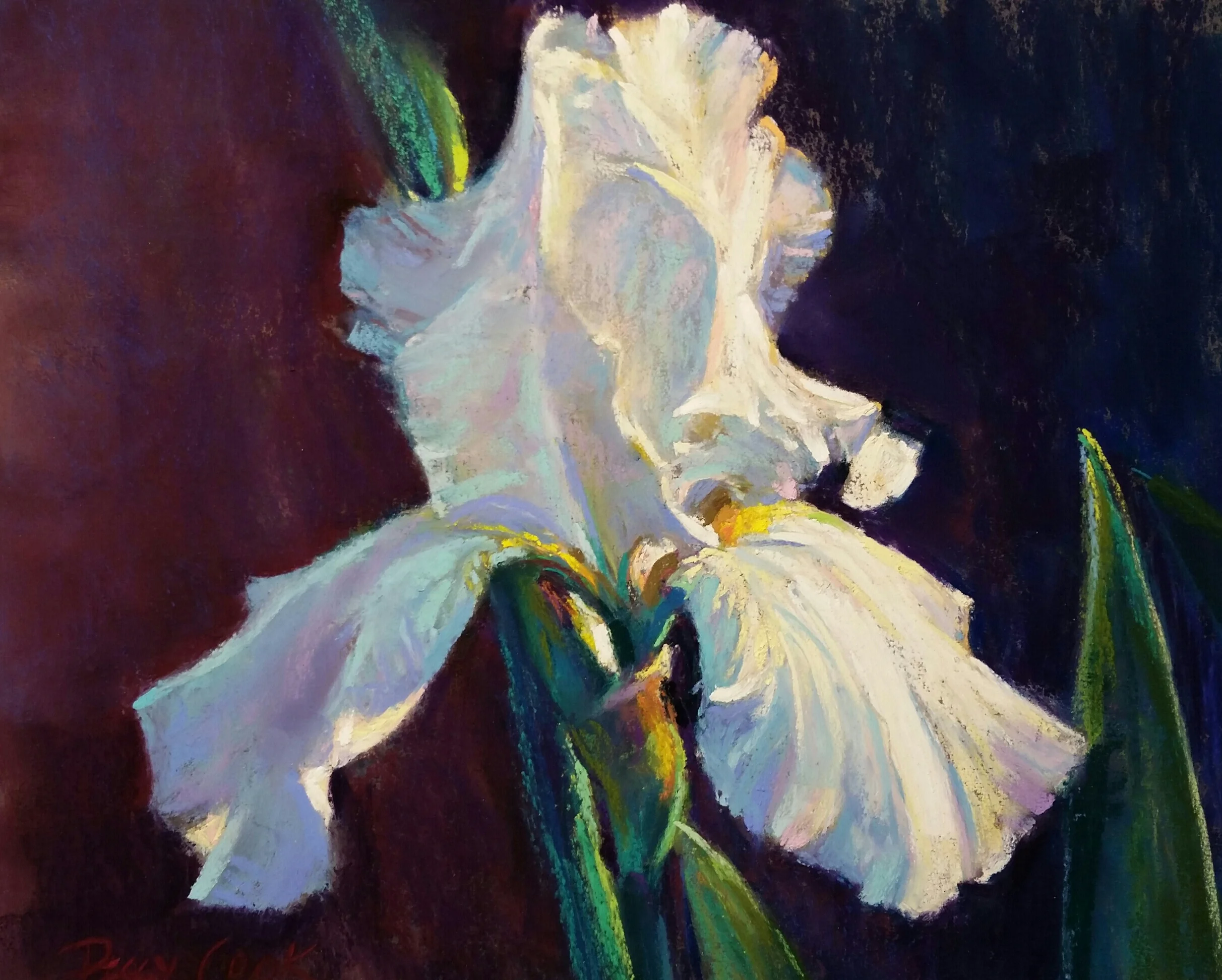 White Iris in Morning Light (Copy)