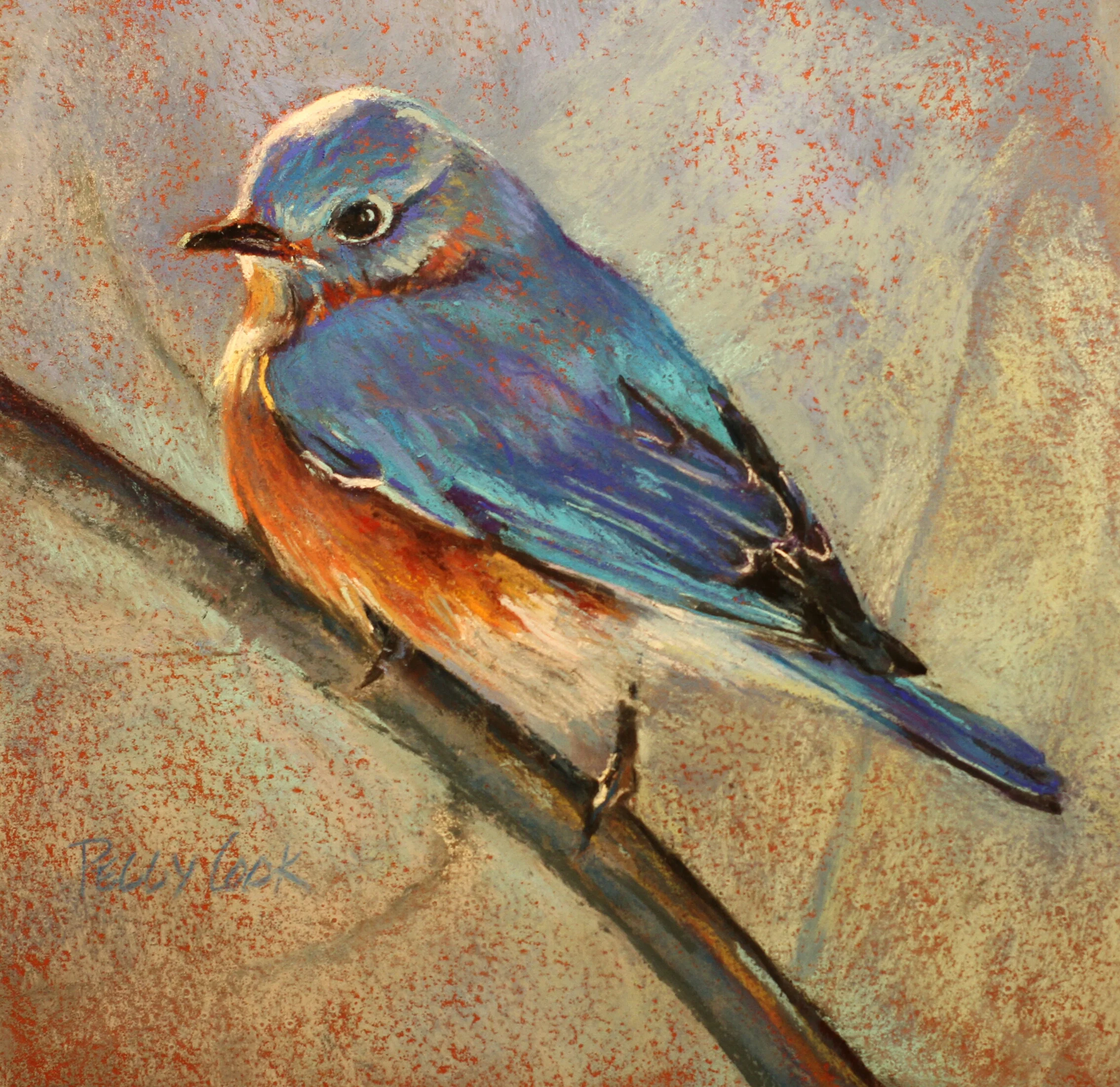Bluebird in Winter (Copy)