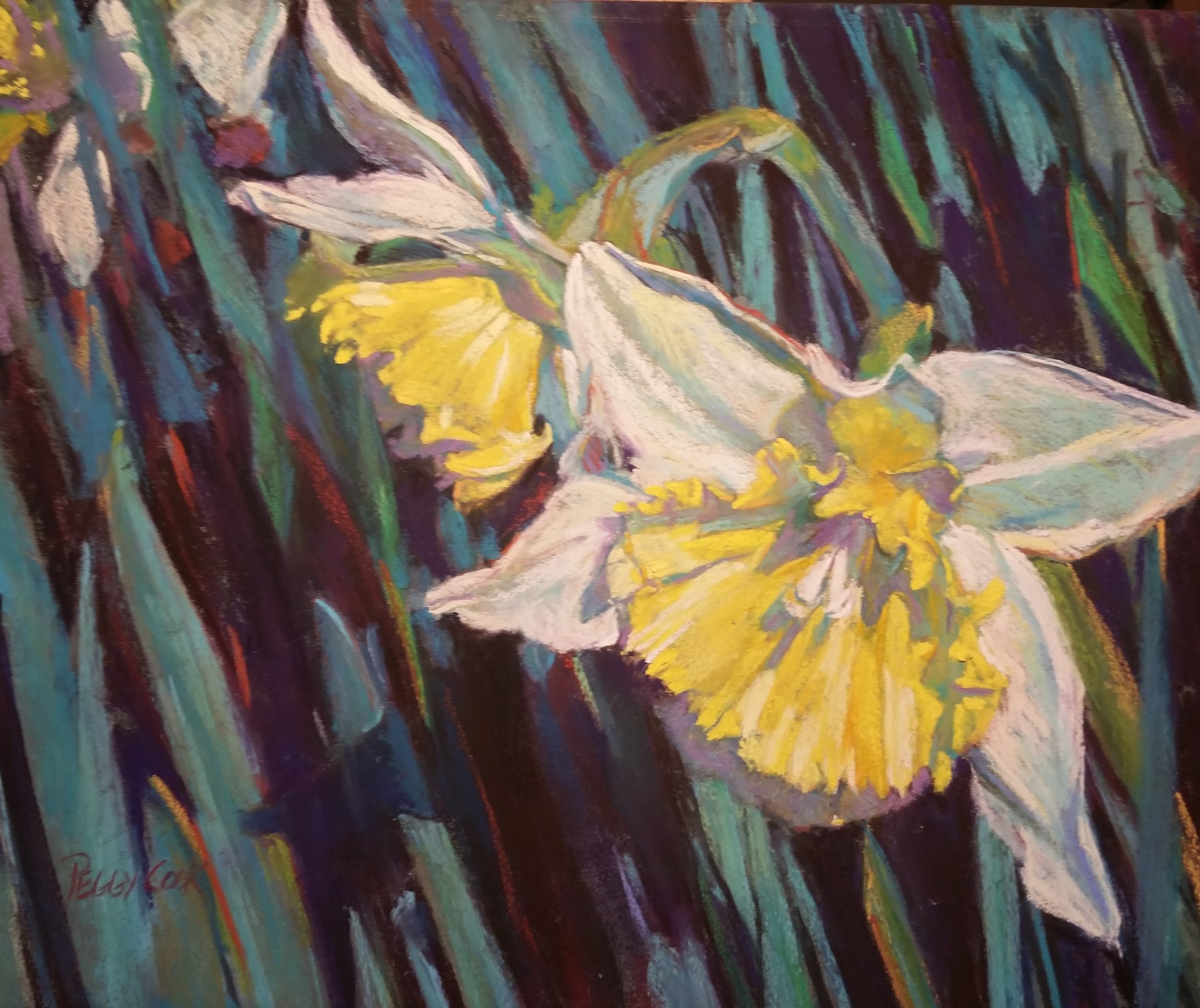 Hibiscus in Sunlight (Copy)