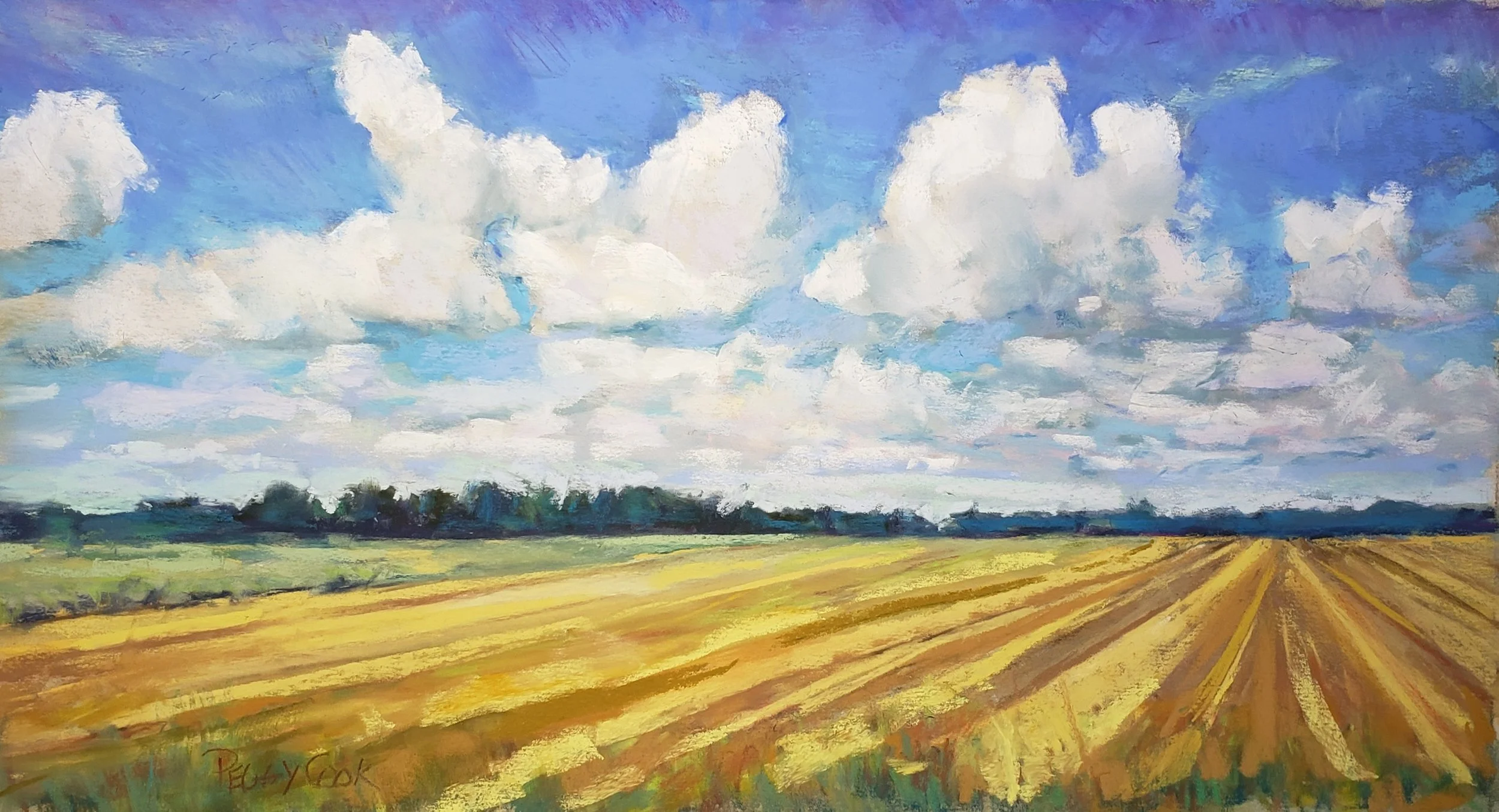 Golden Field (Copy)