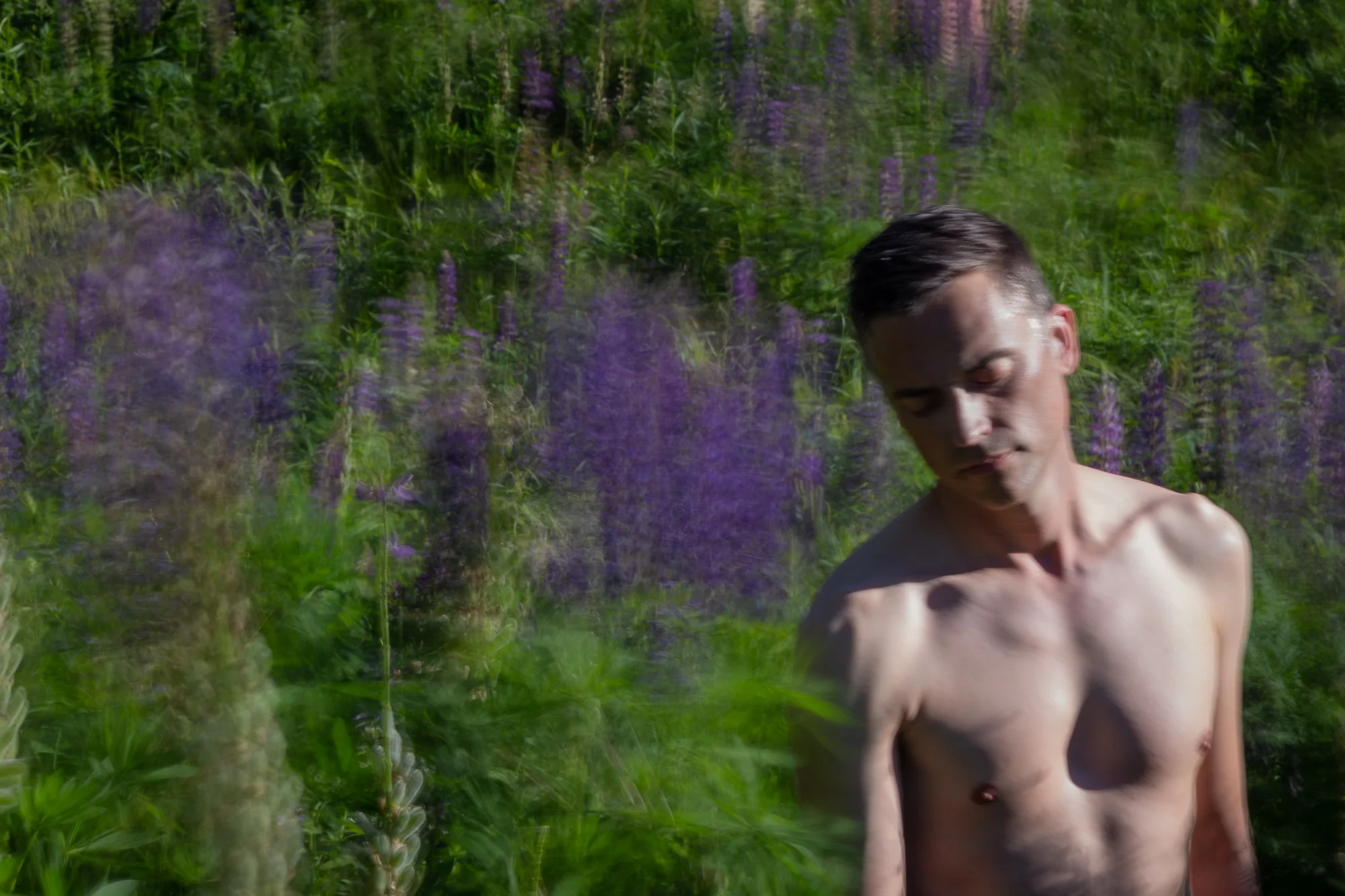 20180619_Self-Portrait_Elmer's_Barn_and_Camden_ME_1717_web.jpg