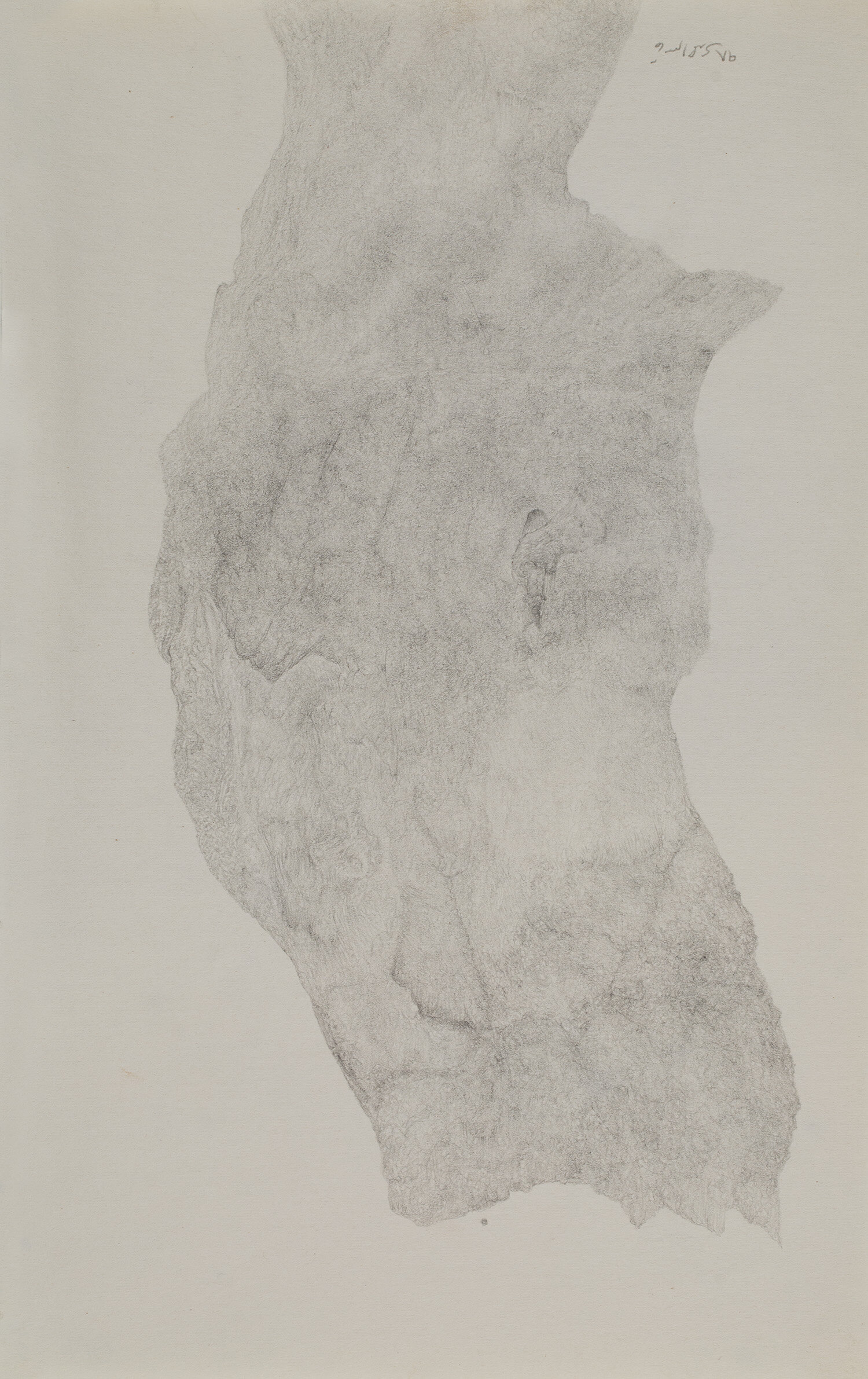   Ghasem Ahmadi     Untitled  , n.d.  Ink on paper  11 x 6.9 inches  27.9 x 17.5 cm  GAh 13 