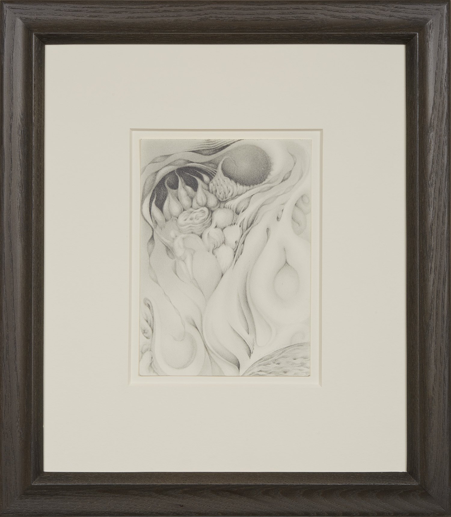   Frances Smokowski  Tabernaculus  , 2016 Graphite on rag paper 15.8 x 13.3 inches 40.1 x 33.8 cm FSm 3 